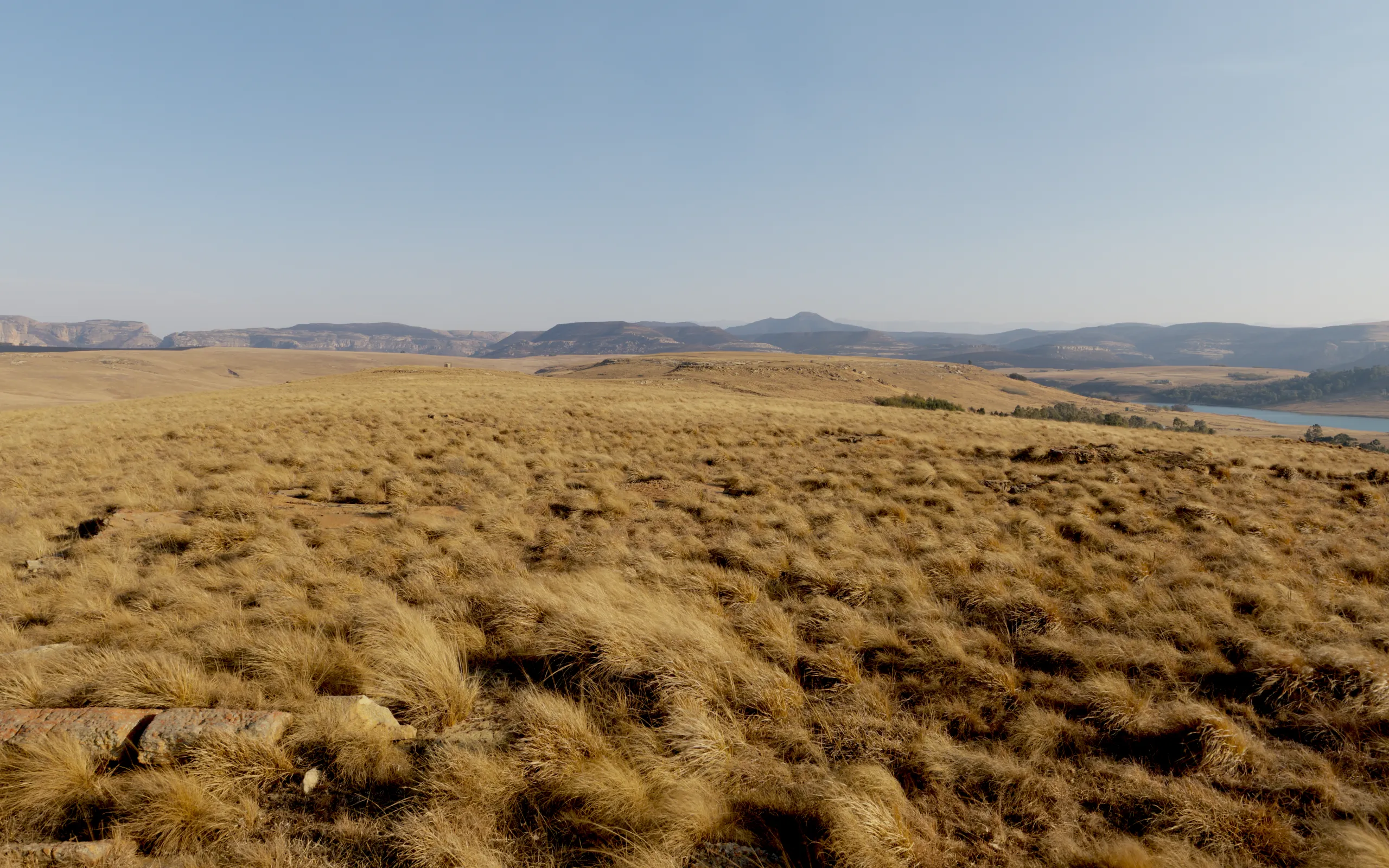 Late afternoon, the grass gone amber, the dam a long band of blue under the cliffs.